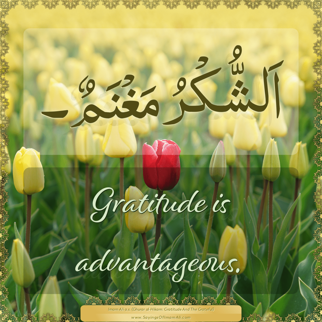 Gratitude is advantageous.